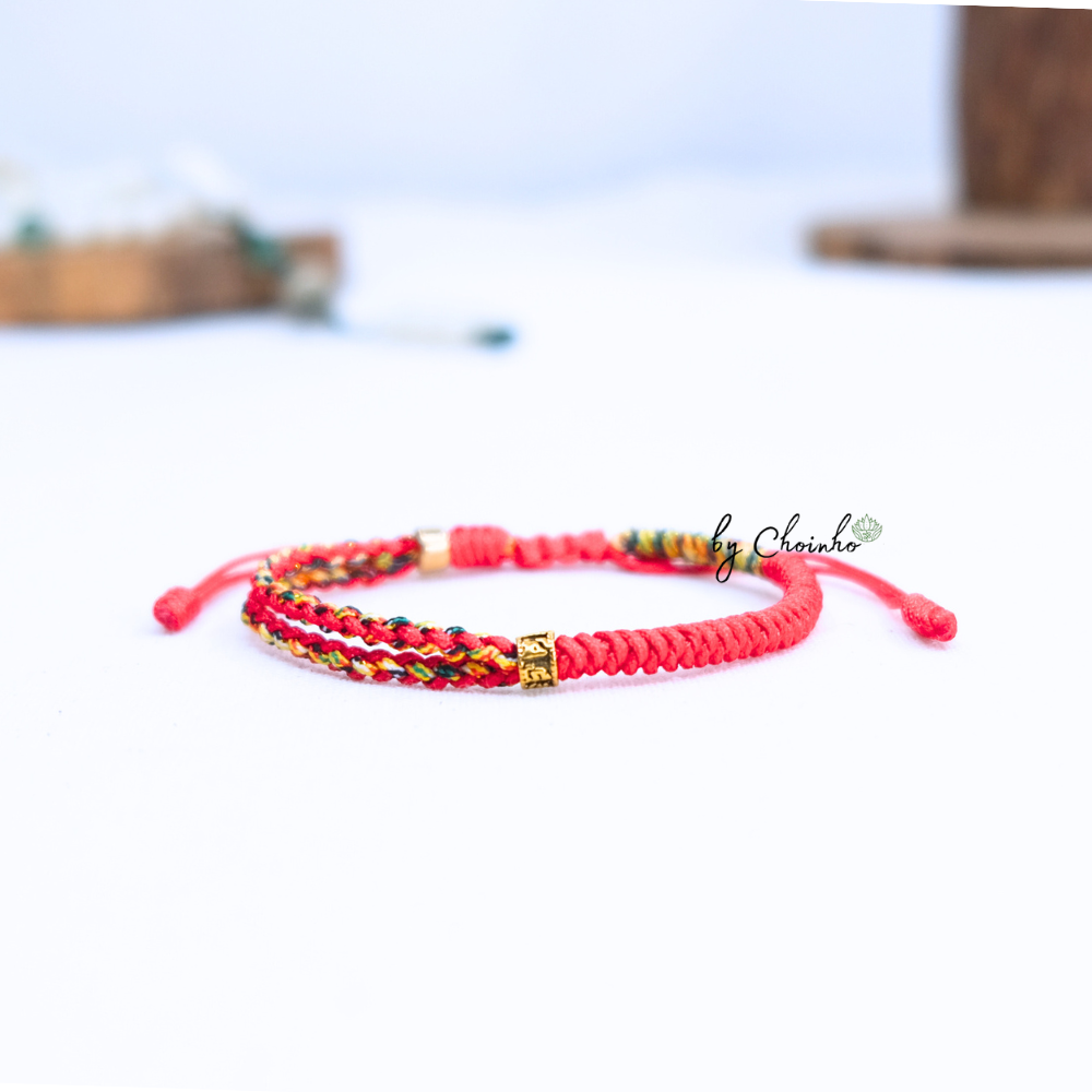 Vòng tay ngũ sắc dây tết đủ màu xinh xắn, phối charm Omani - Chồi Nhỏ 9 Vòng tay ngũ sắc dây tết đủ màu xinh xắn, phối charm Omani - Chồi Nhỏ - Ảnh 9